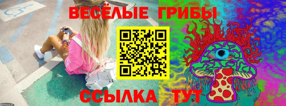 Петрозаводск  Галлюциногенные грибы Psilocybe  как найти закладки  Вход с VPN 
